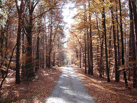 Herbststimmung