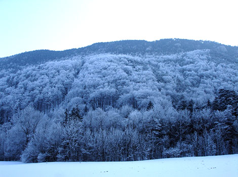 Winterlandschaft