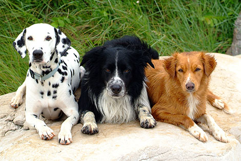 Gruppenfoto