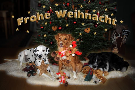 Frohe Weihnacht wünschen Claudia & Wolfgang