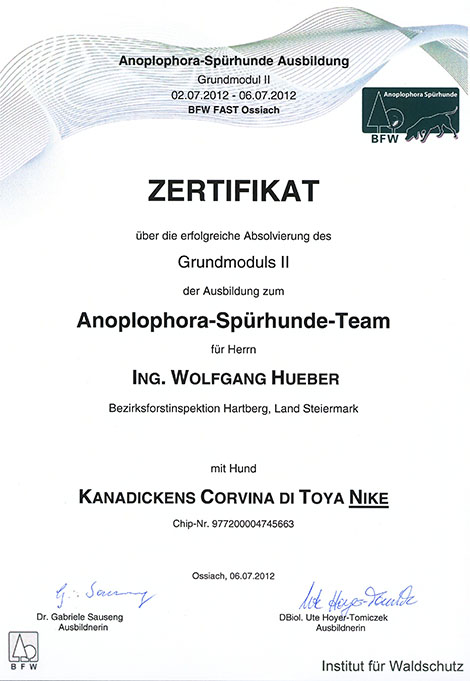 Zertifikat Anoplophora-Spürhund